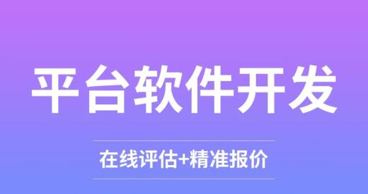 軟件定制開發項目分析